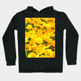 Yellow Tulips Hoodie